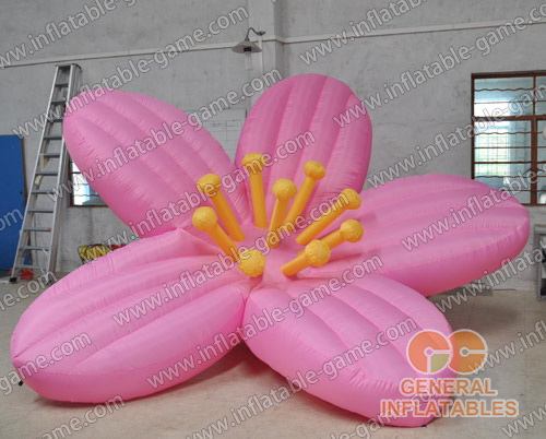 https://www.inflatable-game.com/images/product/game/gcar-50.jpg