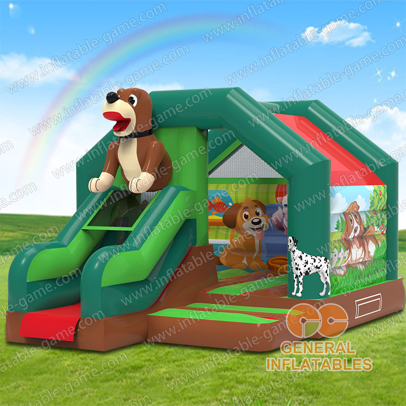 Slide Combo Pets Bouncy Pillow