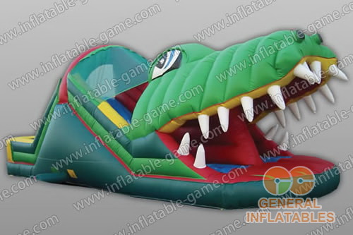 Alligator Slide