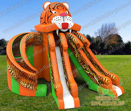 Giant Tiger slide