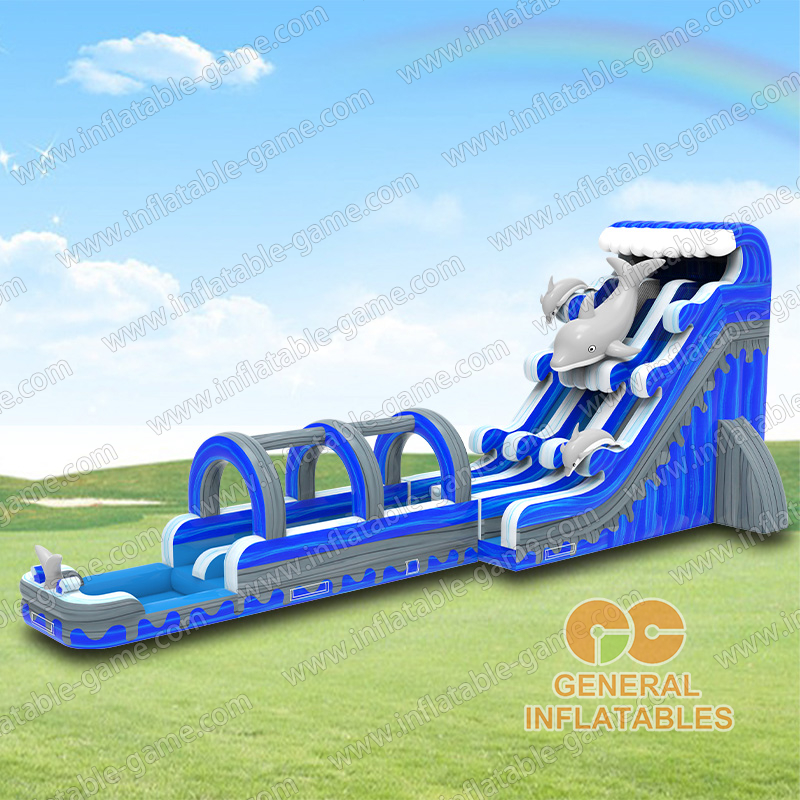 24FT Dolphin dual water slide